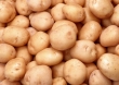 Jest szansa na wypłatę rekompensat za ziemniaki zutylizowane w 2021 r. 